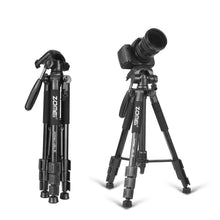 Load image into Gallery viewer, New Zomei Tripod Z666 Professional Portable Travel Aluminium Camera Tripod Accessories Stand with Pan Head for Canon Dslr Camera
